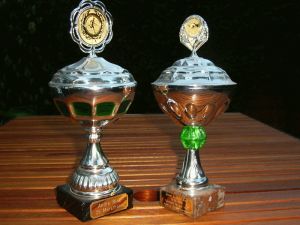 ter gelegenheid van de 25 ste marathon